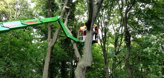 Hubsteiger im Einsatz